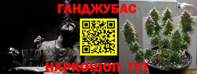 гидра Тверь