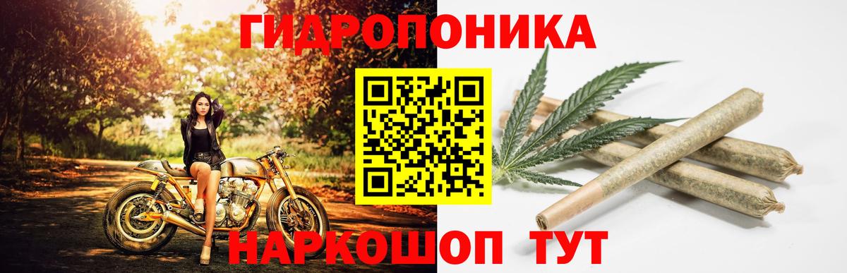 Шишки марихуана план  Вход с VPN  Бошки Шишки конопля  Марихуана MAZAR  Павловский Посад 